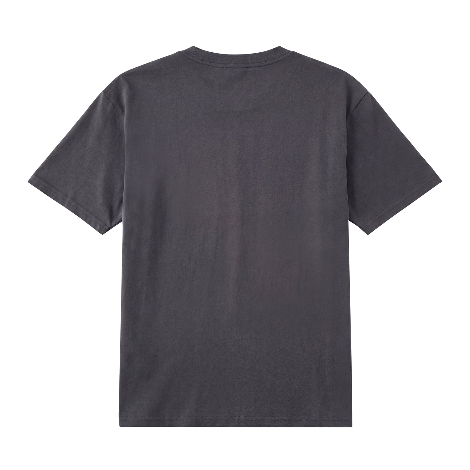 Back view of grey t恤 featuring Candy Spectrum Bloom Staple Tee - 展示2