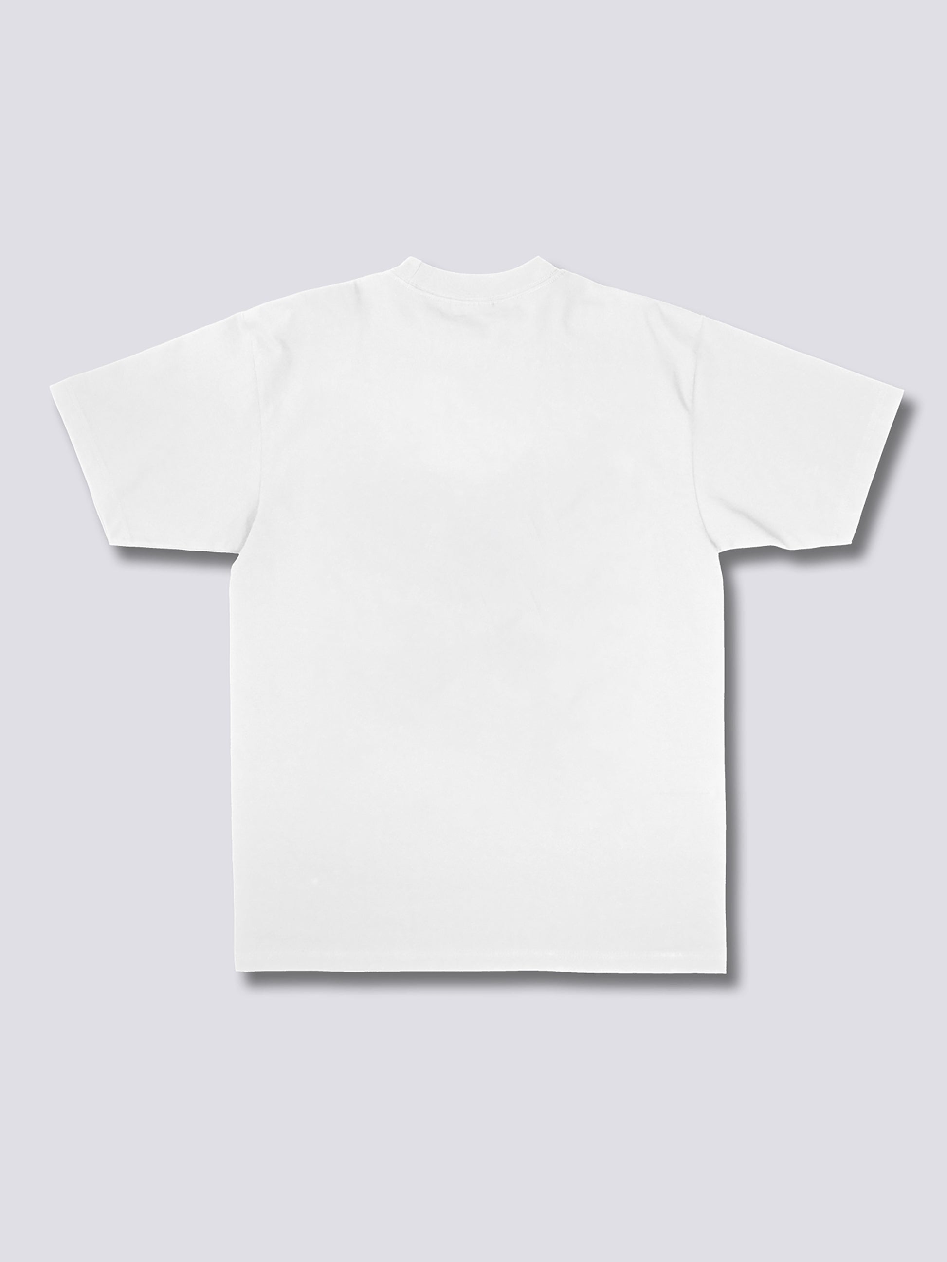 CHROMA RECLAIM 230GSM Brushed Tee ChromaBrite Clothing - 展示2