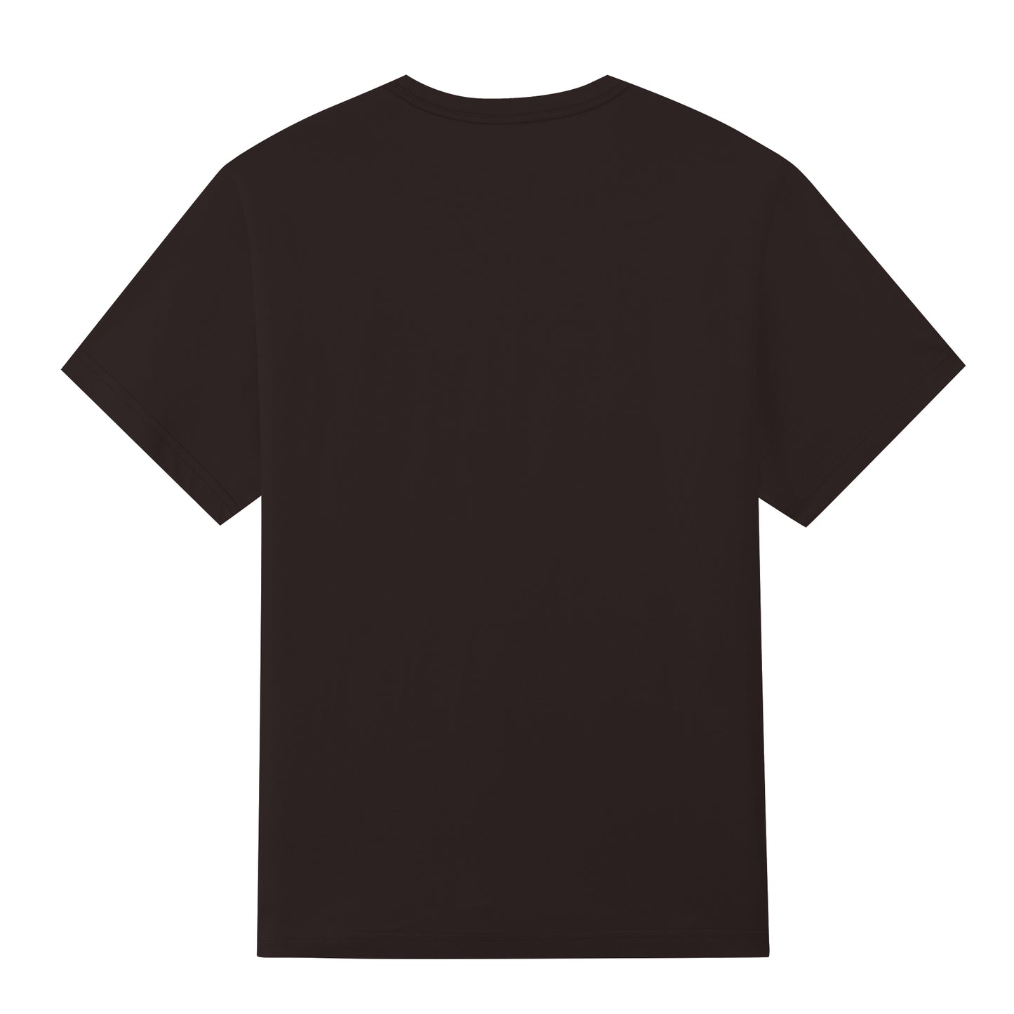 Premium Heavyweight Oversized T-Shirt – Unisex Cotton Streetwear Tee ChromaBrite Clothing