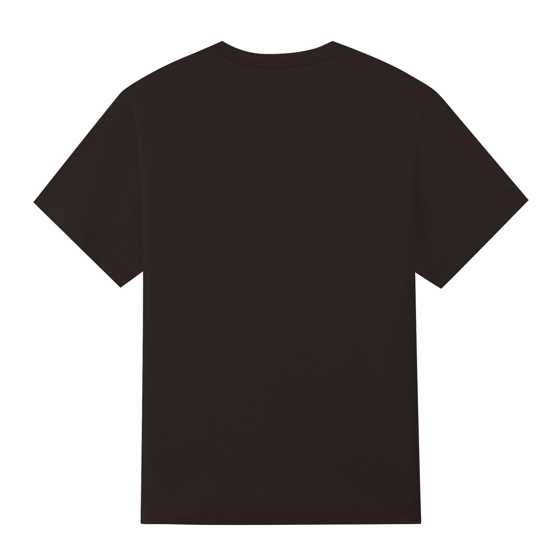 Premium Heavyweight Oversized T-Shirt – Unisex Cotton Streetwear Tee ChromaBrite Clothing